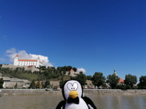 original Donau2020 508