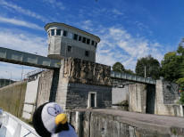 original Donau2020 1531